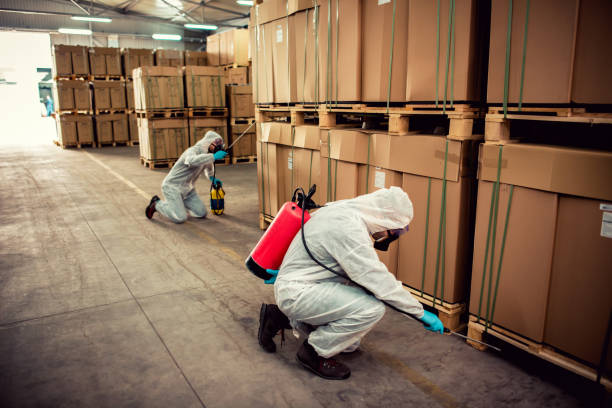 Best Local Pest Control Services  in Brookfield, MO