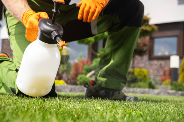 Best Residential Pest Control  in Brookfield, MO