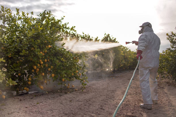 Best Affordable Pest Control Services  in Brookfield, MO