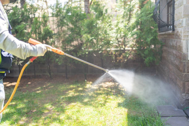 Pest Control for Restaurants in Brookfield, MO