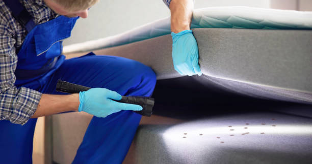 Best Rat Extermination Near Me  in Brookfield, MO