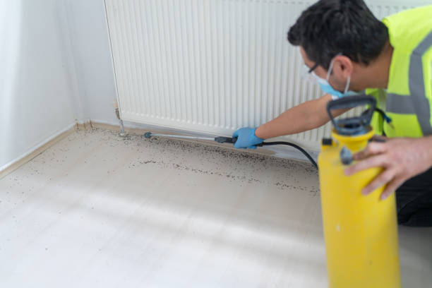 Best Pest Control for Businesses  in Brookfield, MO