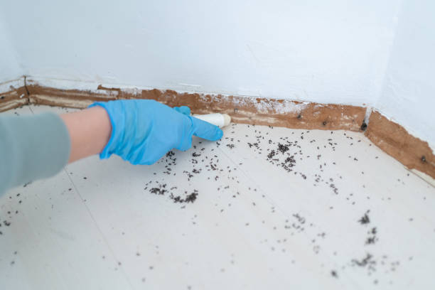 Best Best Pest Control Companies  in Brookfield, MO