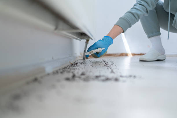 Best Commercial Pest Control Services  in Brookfield, MO
