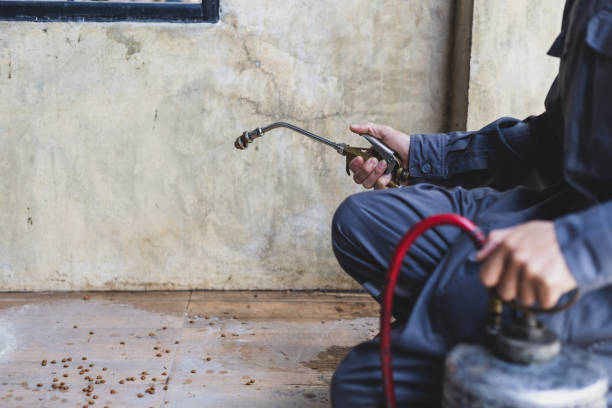 Best Best Pest Control Companies  in Brookfield, MO